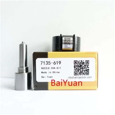 Delphi Injector uchun ta'mirlash to'plami 7135-619